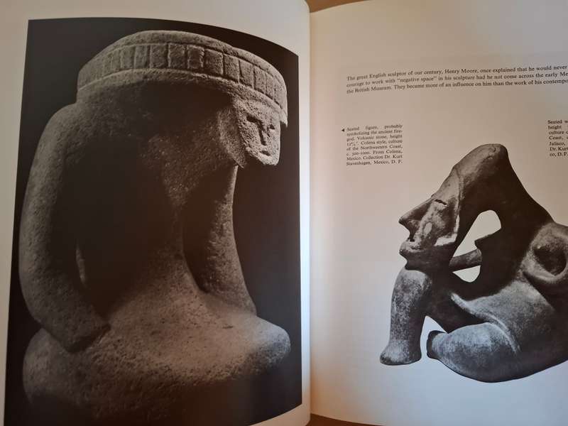 Primitive Art (Pre-Columbian/North American/American Indian/African/Oceanic : Ferdinand Anton (Hardc