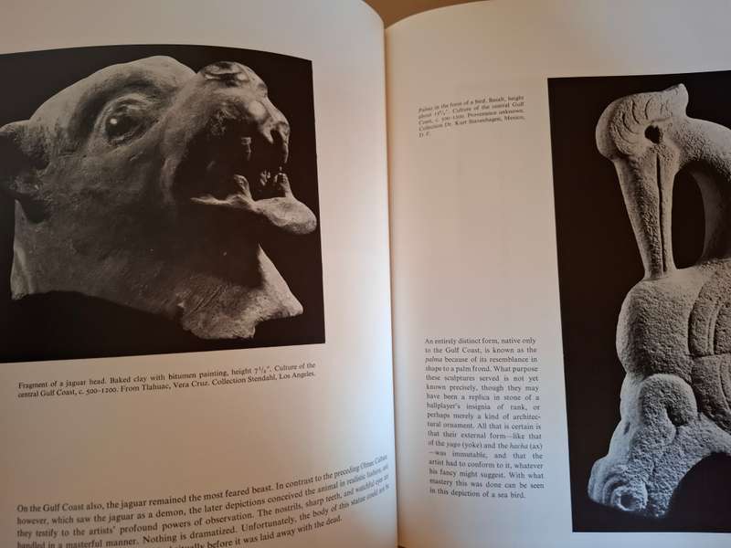 Primitive Art (Pre-Columbian/North American/American Indian/African/Oceanic : Ferdinand Anton (Hardc