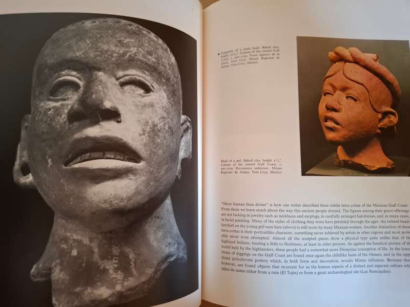 Primitive Art (Pre-Columbian/North American/American Indian/African/Oceanic : Ferdinand Anton (Hardc