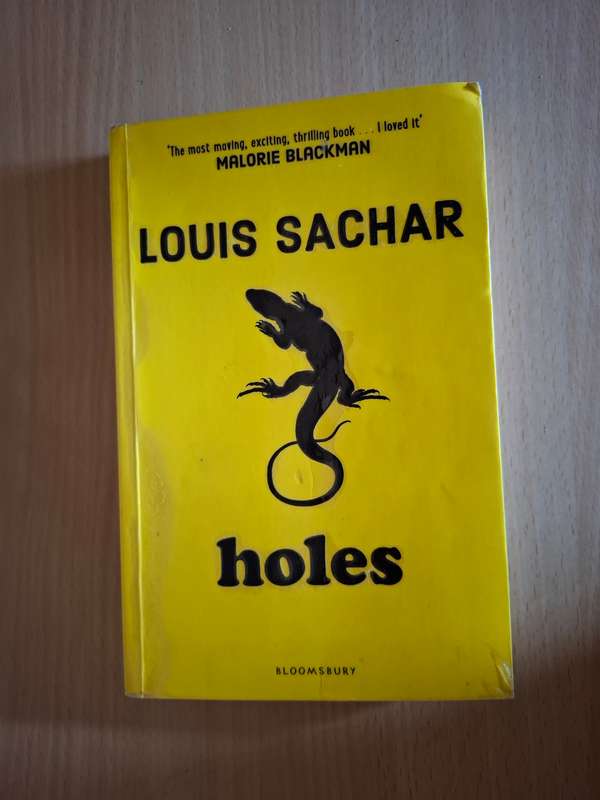 Holes : Louis Sachar  (Paperback)