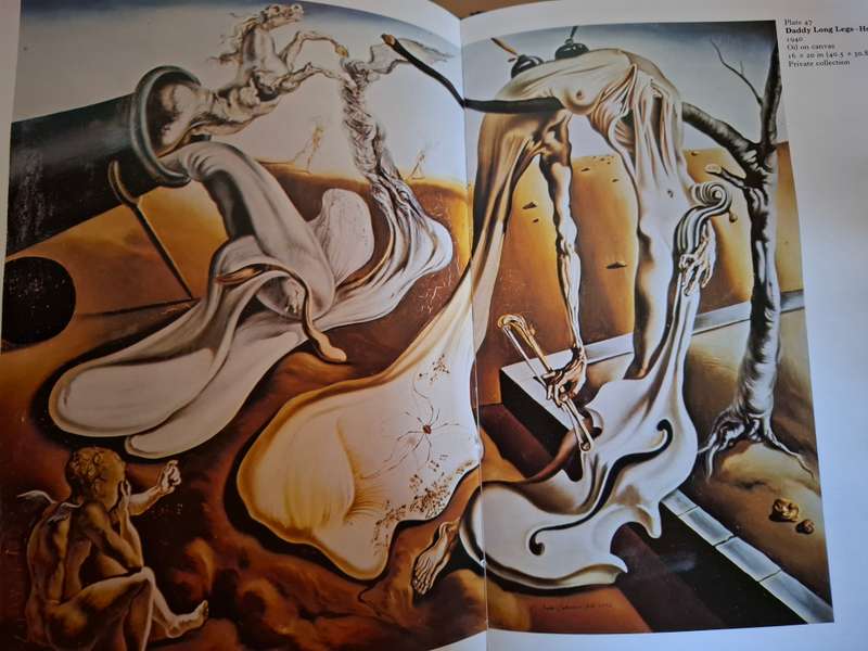 Dali - Conroy Maddox  (Hardcover)