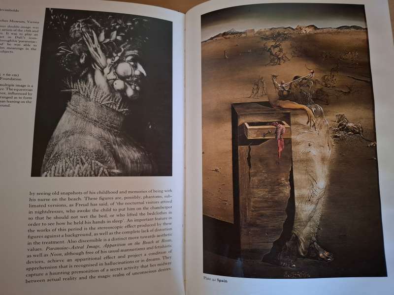 Dali - Conroy Maddox  (Hardcover)