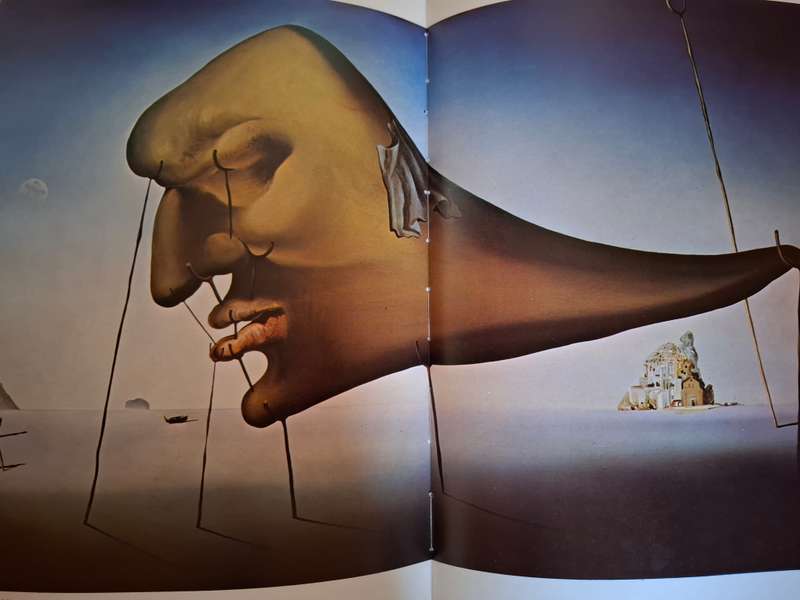 Dali - Conroy Maddox  (Hardcover)