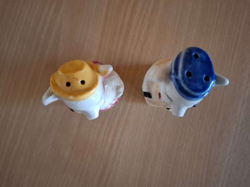 Pig Figurine Salt & Pepper Set
