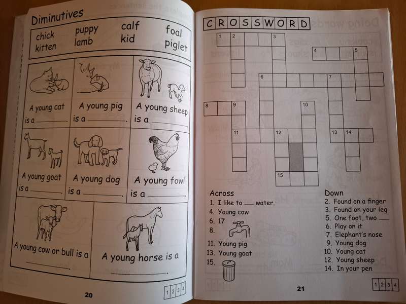 Trumpeter Workbooks - Simply English Workbook 2 : Hilary Cawood