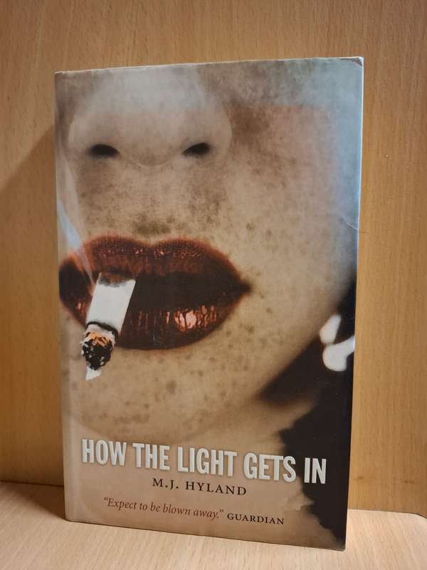 How the Light Gets In: M.J. Hyland  (Paperback)