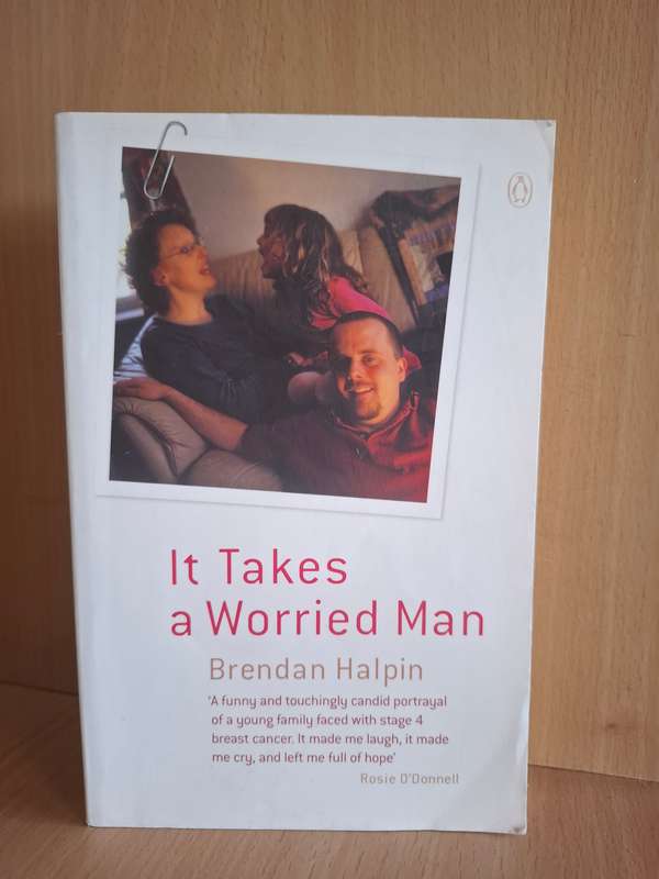 It Takes a Worried Man : Brendan Halpin  (Paperback)