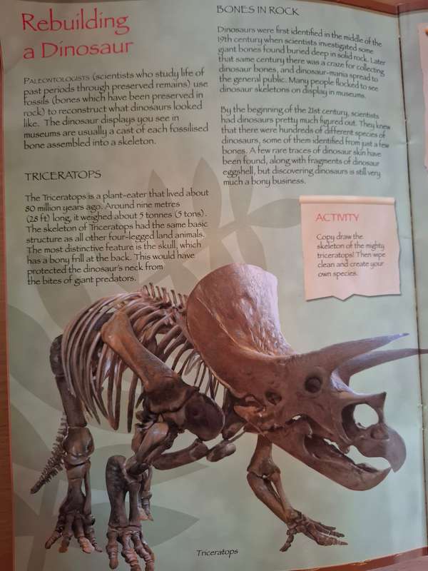 Puzzle Quest Prehistoric Times - Wipe-Clean Activity Book