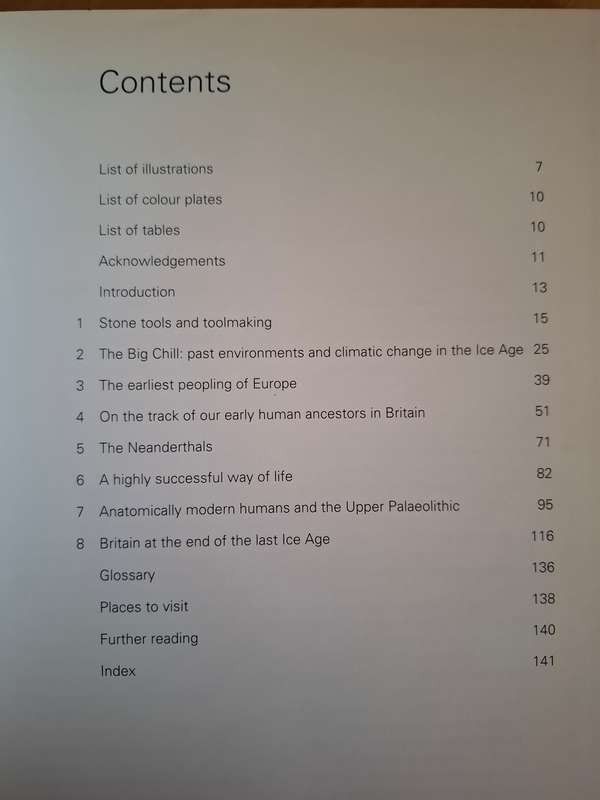 Stone Age Britain: Nicholas Barton  (Hardcover)