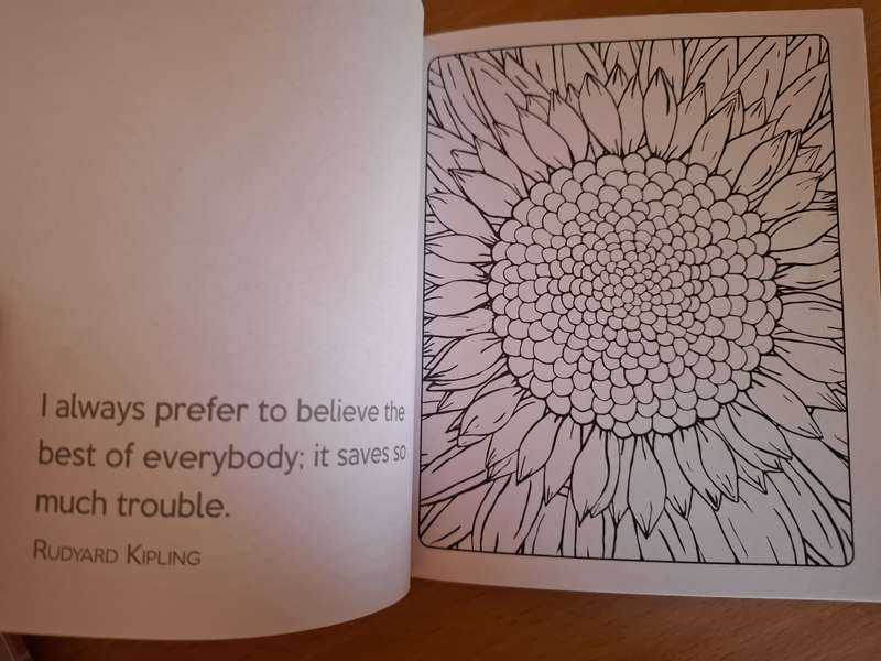 The Little Book of Calm Colouring  : David Sinden & Victoria Kay (Paperback)