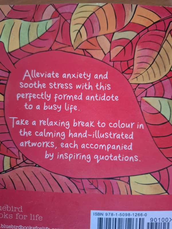 The Little Book of Calm Colouring  : David Sinden & Victoria Kay (Paperback)