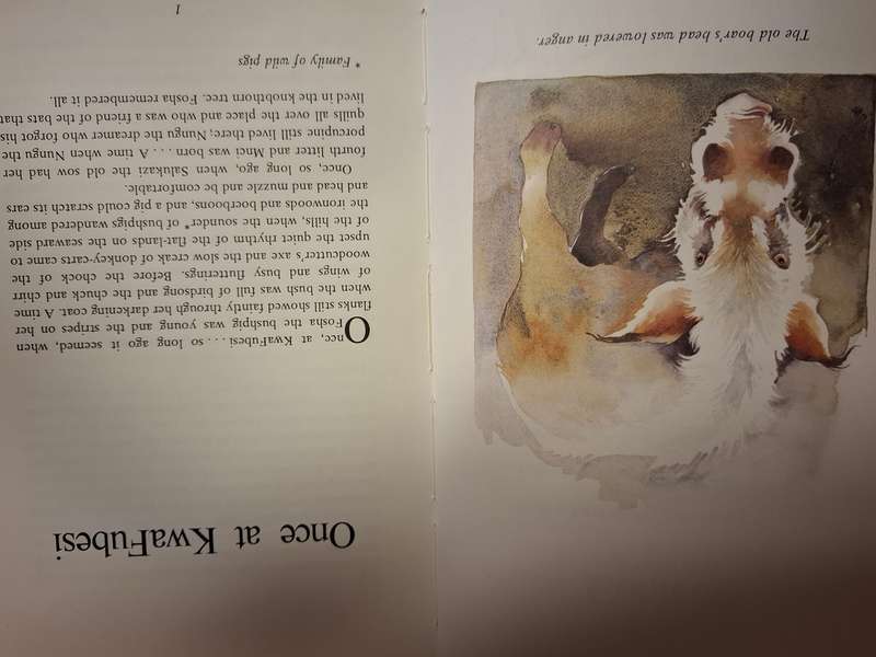 Once at KwaFubesi  (Marguerite Poland, Leigh Voigt  (Hardcover)