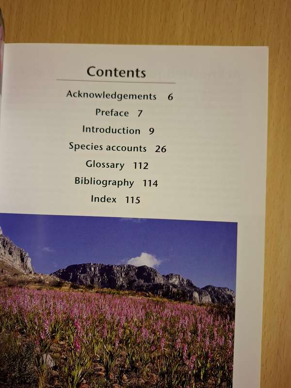 Common Wild Flowers of Table Mountain & Silvermine : Hugh Clarke, Bruce Mackenzie (Paperback)