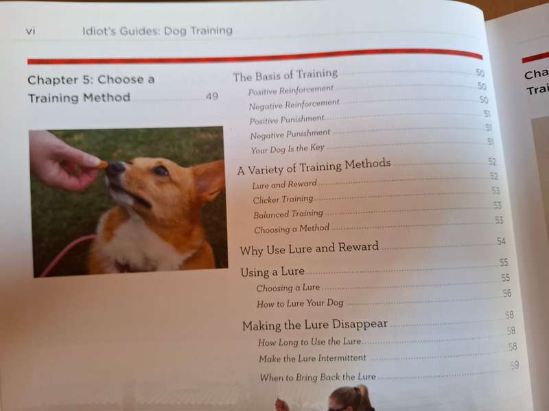 Idiot`s Guide - Dog Training : Liz Palika  (Paperback)