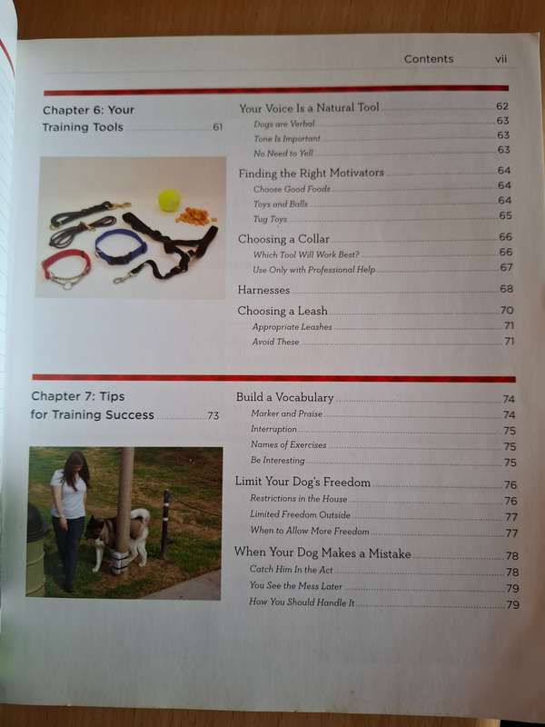 Idiot`s Guide - Dog Training : Liz Palika  (Paperback)