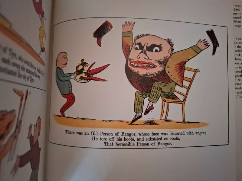 Book of Nonsense by Edward Lear (Hardcover)