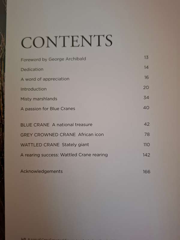 The Sentinels - Cranes of South Africa : Daniel Dolpire, David Allan  (Hardcover)