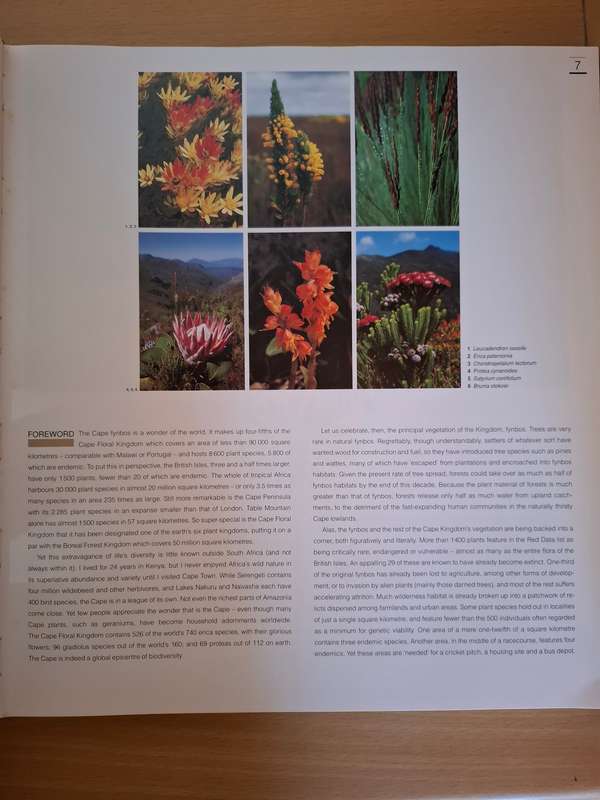 Fynbos - South Africa`s Unique Floral Kingdom : Richard Cowling, Dave Richardson (Hardcover)