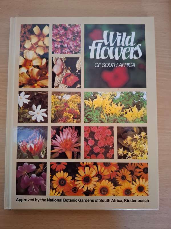 Wildflowers of South Africa (Hardcover)