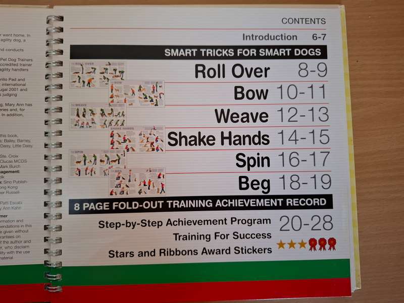 Smart Tricks for Smart Dogs : Mary Ann Nester  (Hardcover)