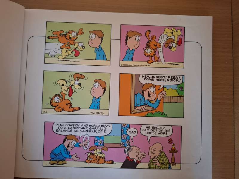 The Second Garfield Super Treasury :Jim Davis  (Hardcover)