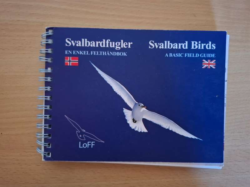 Svalbardfugler - Svalbard Birds - A Basic Field Guide (Paperback)