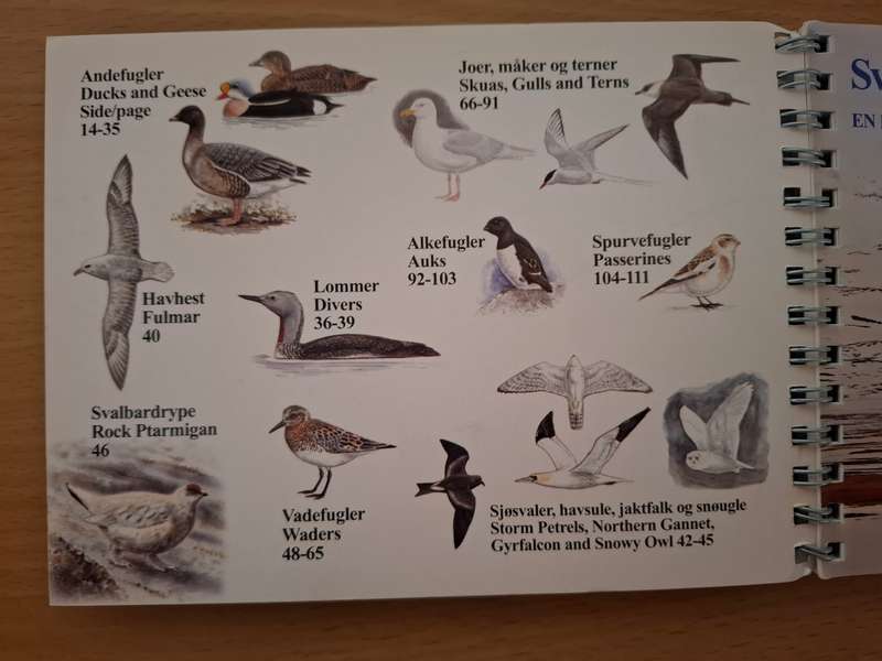 Svalbardfugler - Svalbard Birds - A Basic Field Guide (Paperback)