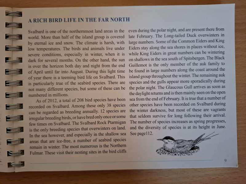 Svalbardfugler - Svalbard Birds - A Basic Field Guide (Paperback)