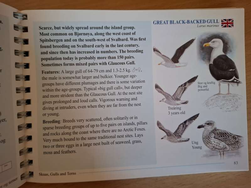Svalbardfugler - Svalbard Birds - A Basic Field Guide (Paperback)