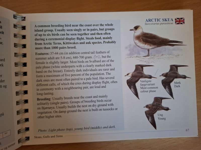 Svalbardfugler - Svalbard Birds - A Basic Field Guide (Paperback)