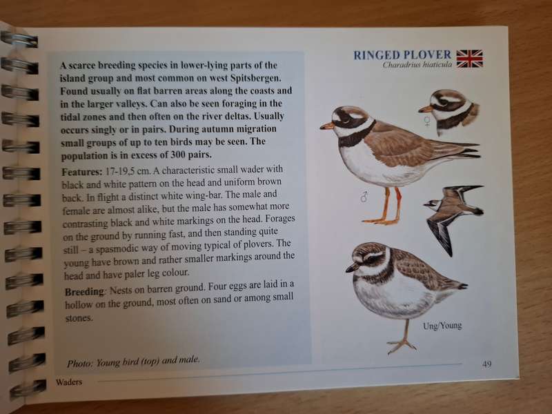 Svalbardfugler - Svalbard Birds - A Basic Field Guide (Paperback)
