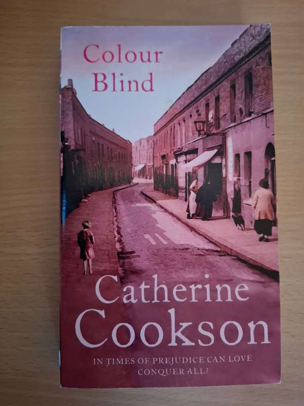 Colour Blind : Catherine Cookson  (Paperback)