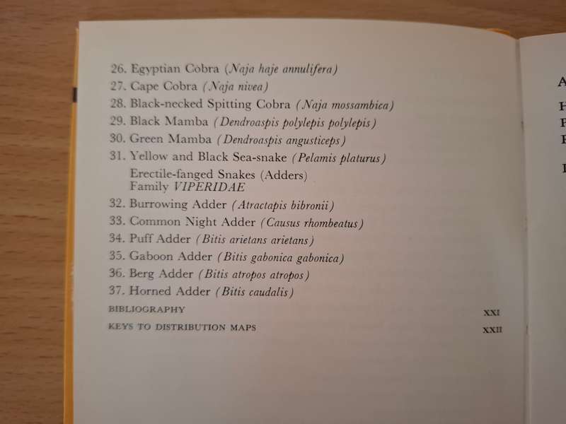 Common Snakes of South Africa : John Visser  (Hardcover)