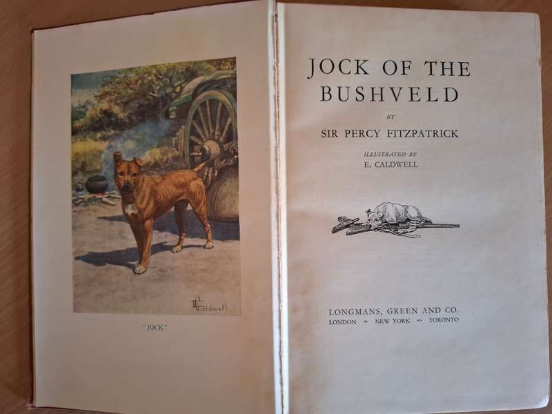 Jock of the Bushveld : Sir Percy Fitzpatrick (Hardcover)