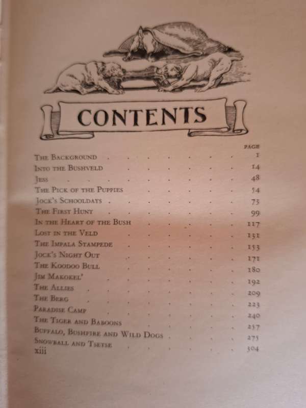 Jock of the Bushveld : Sir Percy Fitzpatrick (Hardcover)