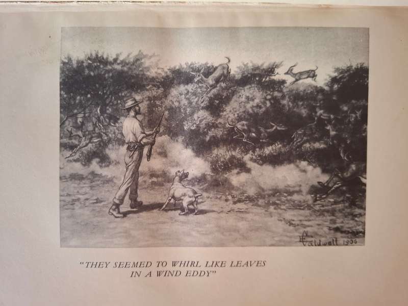 Jock of the Bushveld : Sir Percy Fitzpatrick (Hardcover)