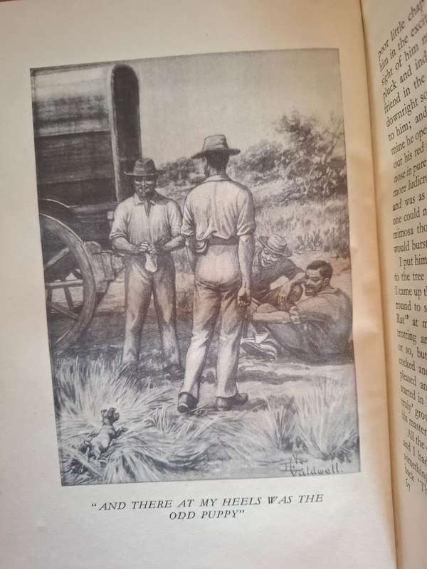 Jock of the Bushveld : Sir Percy Fitzpatrick (Hardcover)