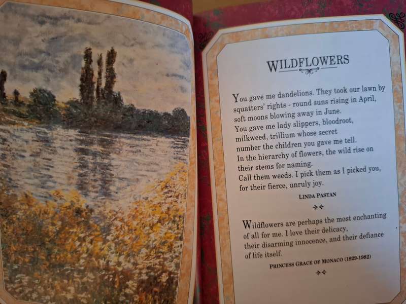 Flowers - A Celebration in Words and Paintings selected by Helen Exley (Hardcover)