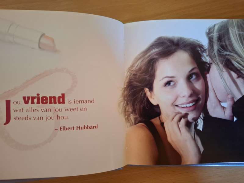 Beste vriende
