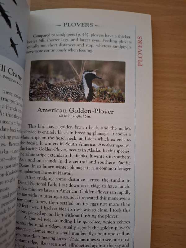 Alaska`s Birds : Robert H. Armstrong  (Paperback)
