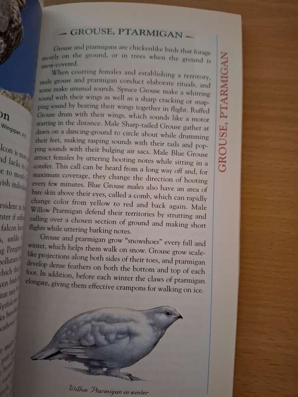 Alaska`s Birds : Robert H. Armstrong  (Paperback)