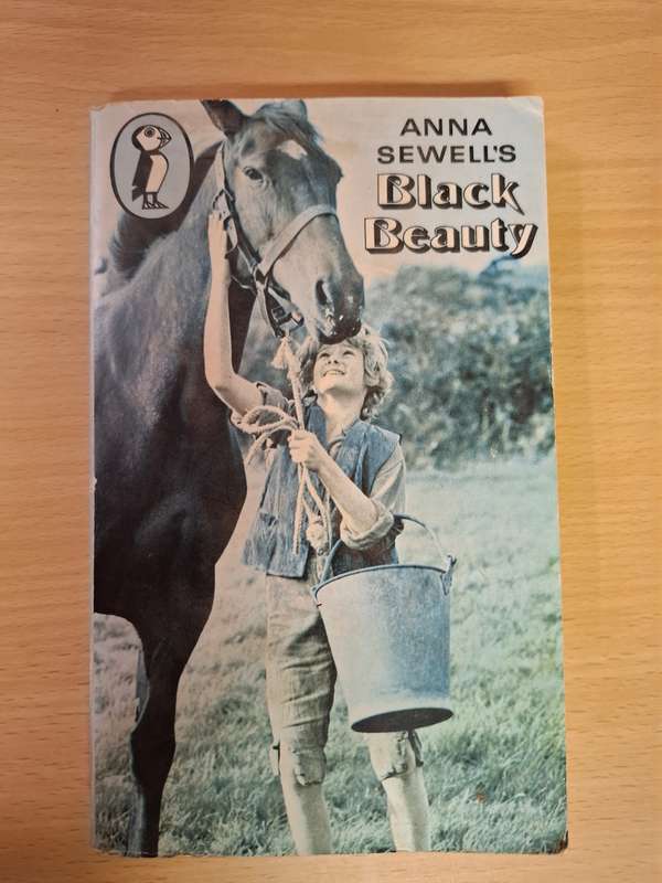 Black Beauty: Anna Sewell (Paperback)