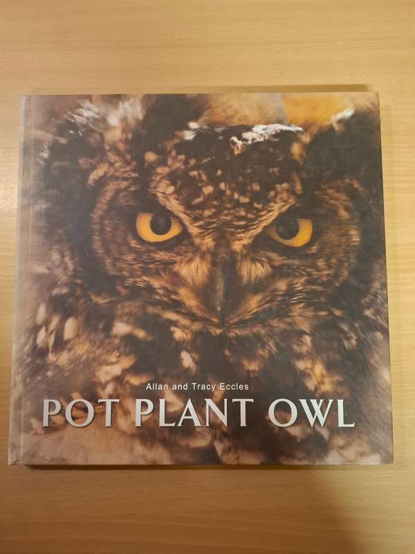 Pot Plant Owl : Allan and Tracy Eccles  (Hardcover)