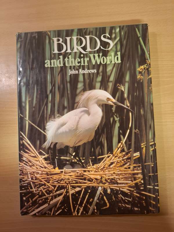 Birds and their World : John Andrews  (Hardcover)