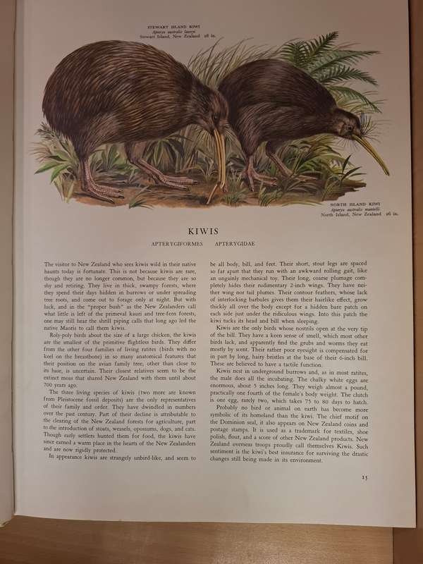 Birds of The World by Oliver L. Austin Jr (Hardcover)
