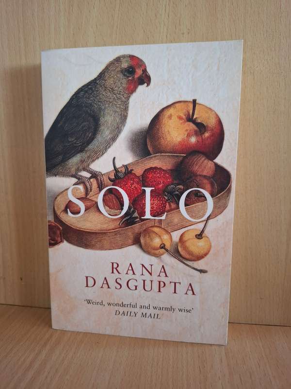 Solo: Rana Dasgupta (Paperback)