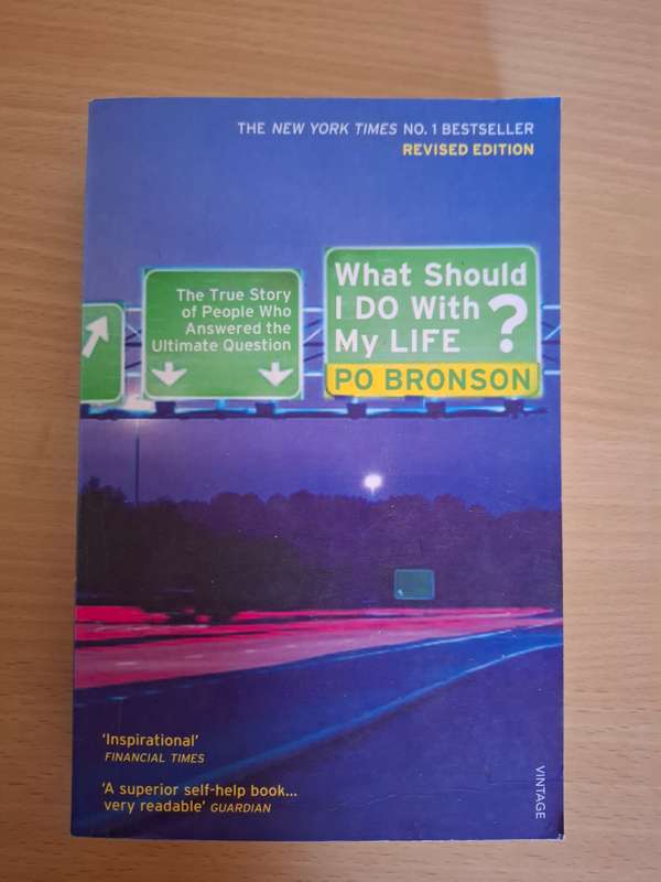 What Should I Do with My Life? PO BRONSON  (Paperback)