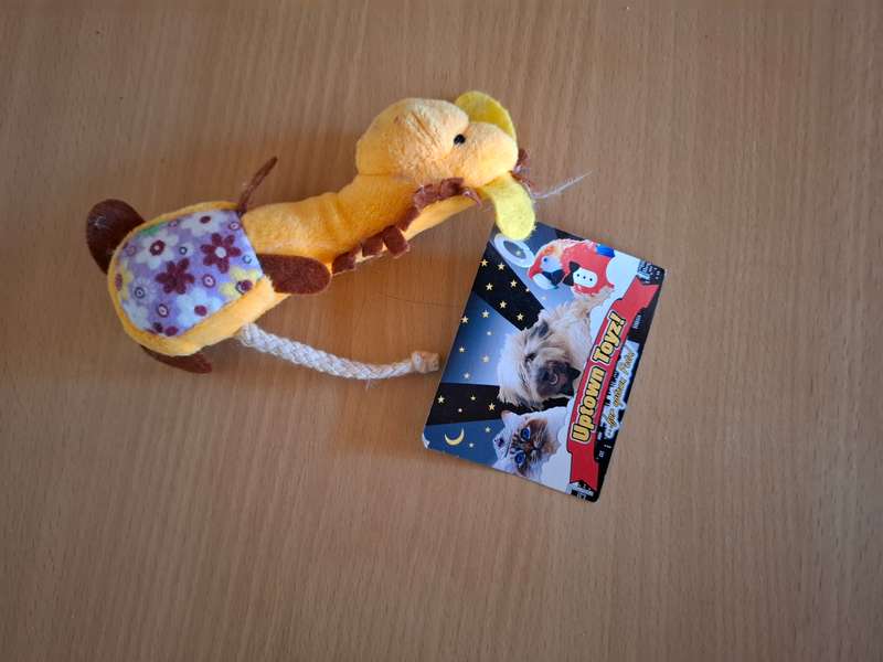 Cat/Dog Soft Plush Toy
