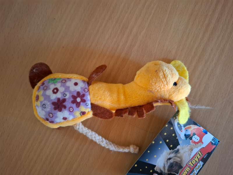 Cat/Dog Soft Plush Toy