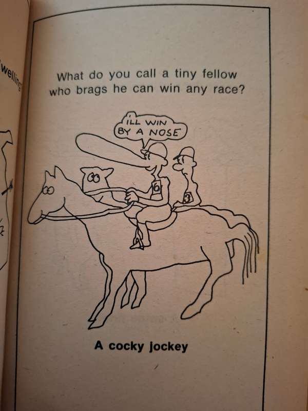 Do You Give Up? Cartoons, Riddles and Rhymes : William Cole and Mike Thaler (Paperback)